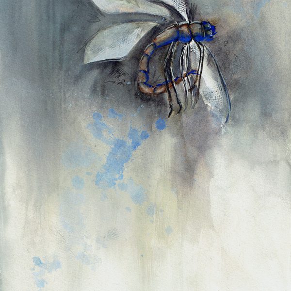 Graceful Exit Dragonfly Watercolour